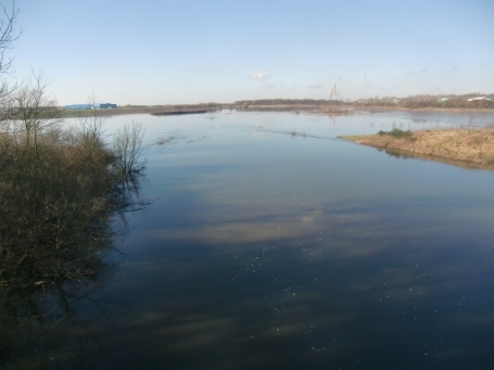 Wesel-Lippedorf : Hindenburgstraße, das Rheinhochwasser ist bis zur neuen Lippemündung vorgedrungen ( Feb. 2016 ).